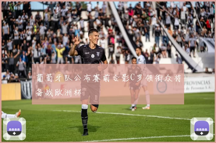 葡萄牙队公布赛前合影C罗领衔众将备战欧洲杯