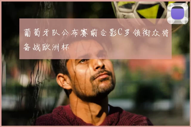 葡萄牙队公布赛前合影C罗领衔众将备战欧洲杯