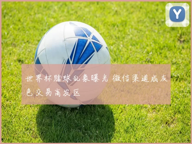 世界杯赌球乱象曝光 微信渠道成灰色交易高发区